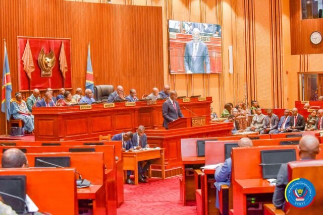 Le sénat en session extraordinaire sur la crise dans l'Est congo7