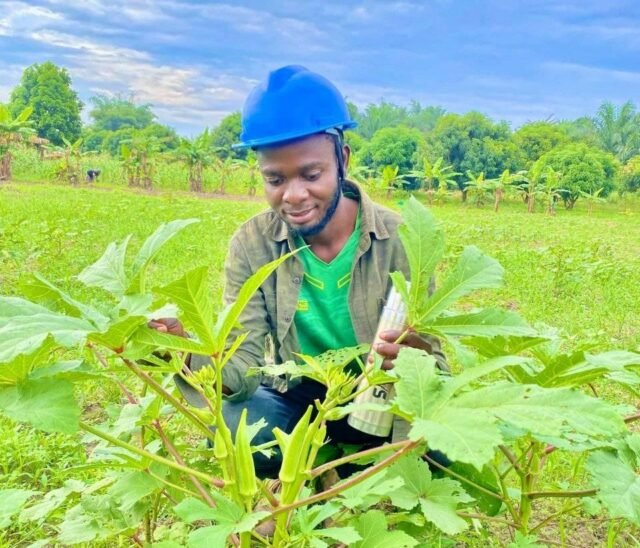 Ingenieur Esperant Madimba dans son champ de Gombo